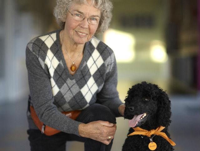 Read more about the article Besøgshunden Buster