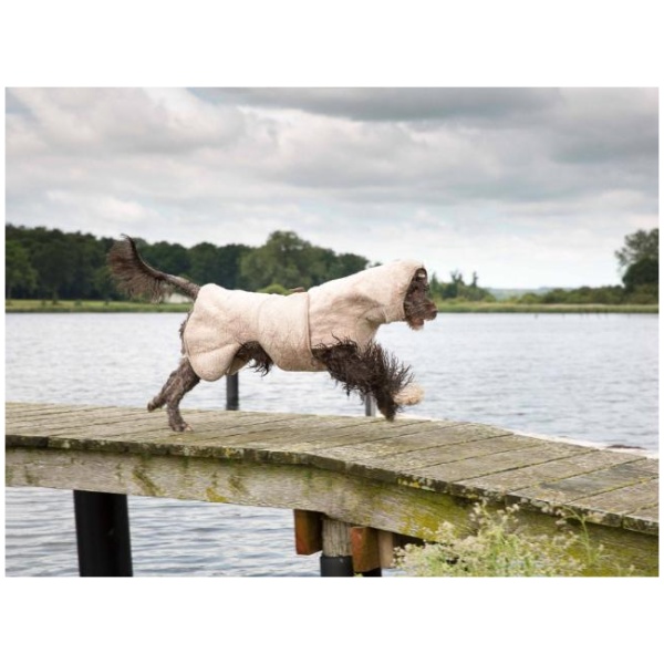 Read more about the article Dry your dog in 15 minutes with Siccaro