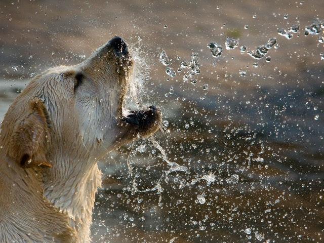 You are currently viewing Cooling: From drying suit to cooling suit