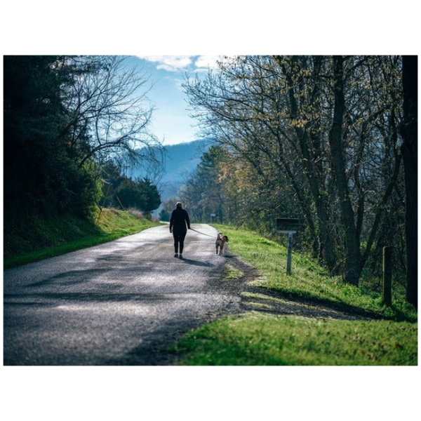 Read more about the article Høm høm posen frem – det er pinligt IKKE at samle lorten op!