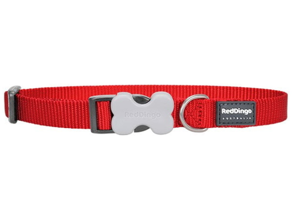 Collare Dingo rosso, rosso classico, 24-36cm/15mm