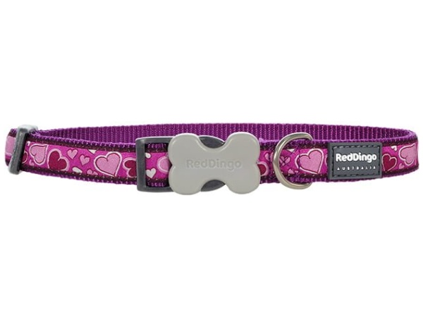 Collare Red Dingo, b-love viola, 24-36cm/15mm