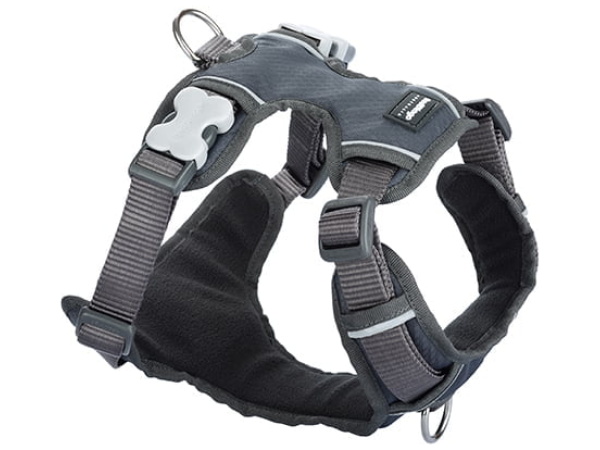 Red Dingo gepolsterter Gurt, grau, L