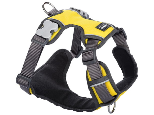 Red Dingo gepolsterter Gurt, gelb, L