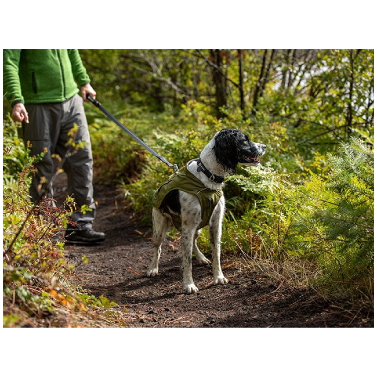 Ruffwear Overcoat Fuse Jacket, Cedar Green - Image 7