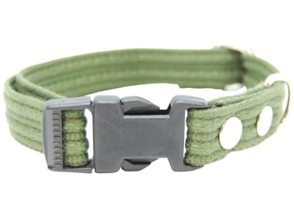 Collare Fenriz, 35-60cm/20mm, verde