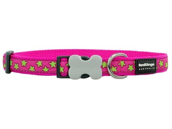 Red Dingo halsbånd, lime stjerner