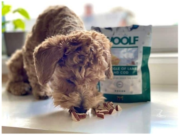 Woolf Lamb & Cod Triangle 100g