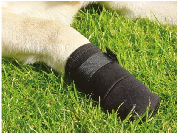 Neoprenschuhe, klein, 2 Stk.