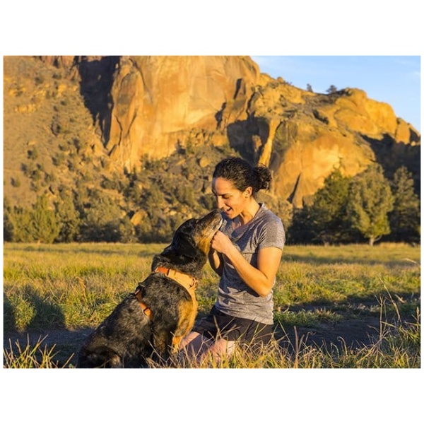 Den perfekte hundesele