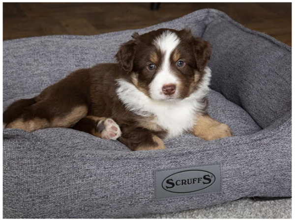 Scruffs Manhattan seng, grå