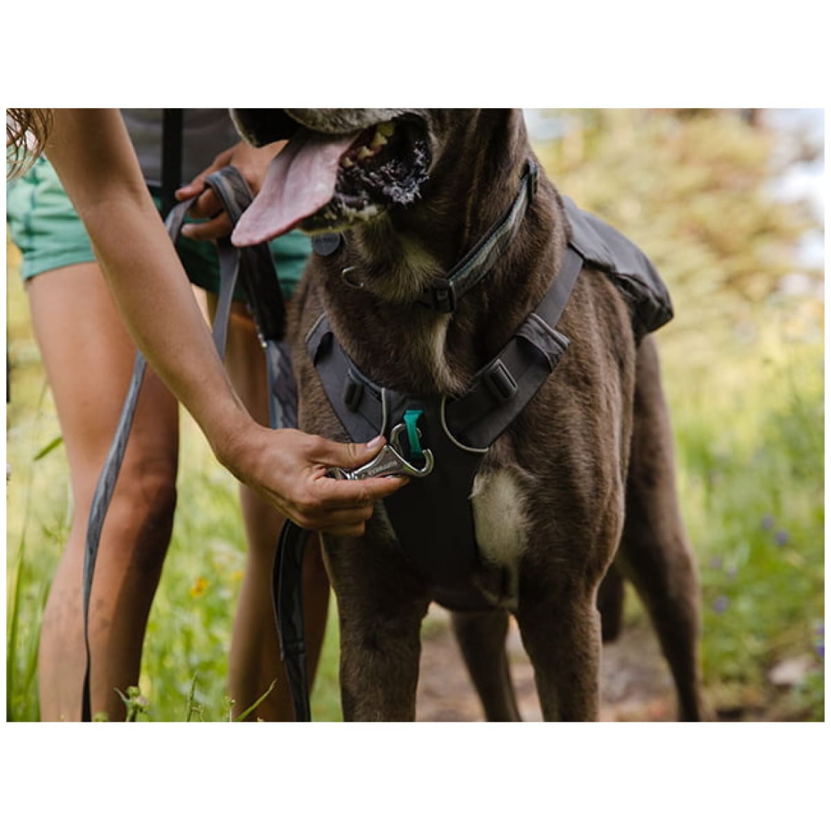 Ruffwear Switchbak™ Sele, Granite Gray - Image 6