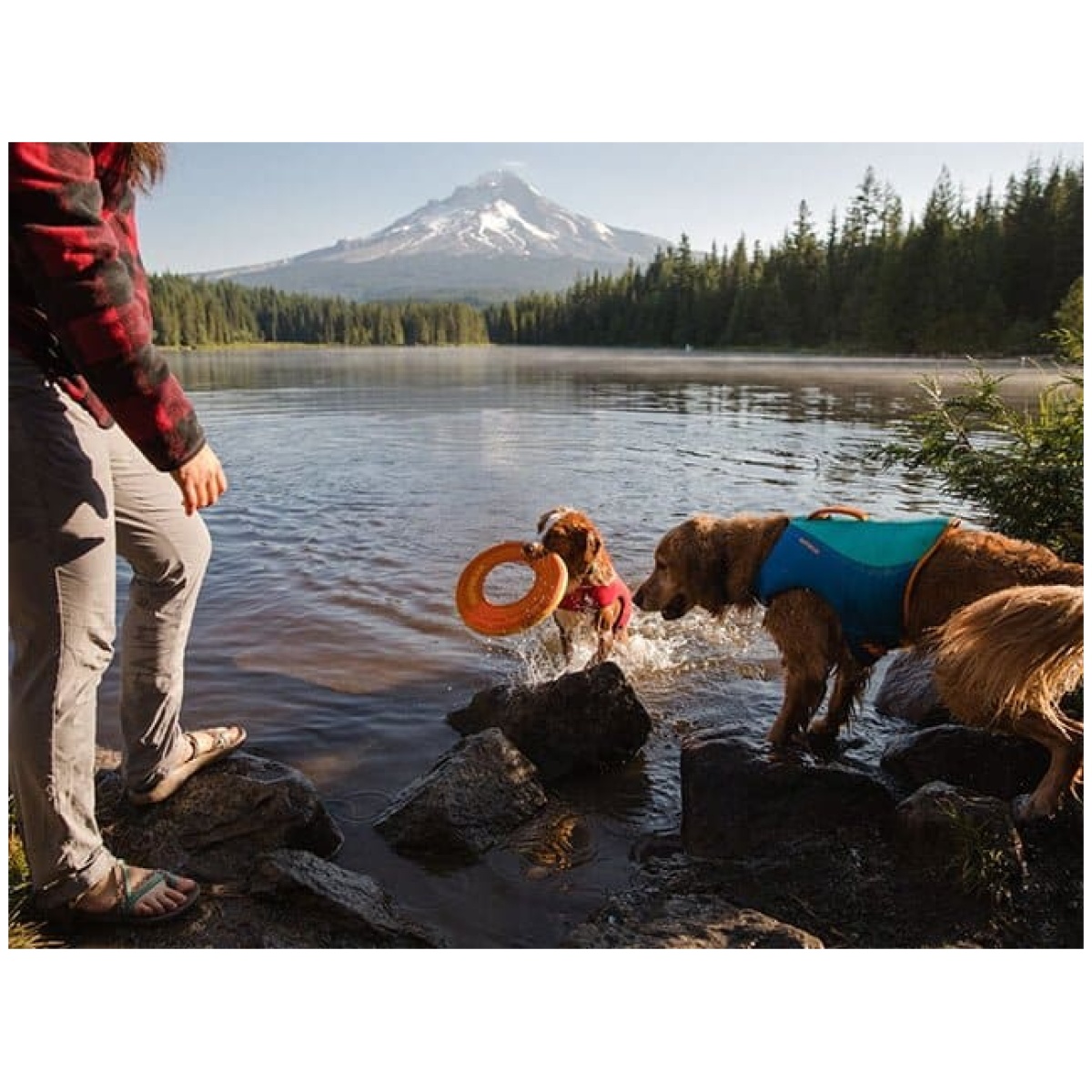 Ruffwear Float-Mantel, Blue Dusk – Bild 14