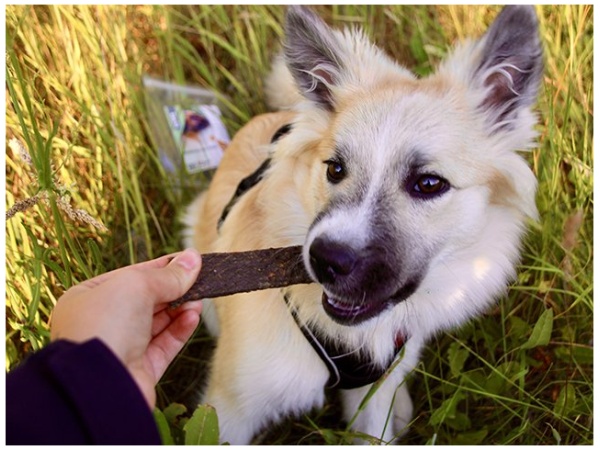 Tikki Meatstrips med ged, 100g