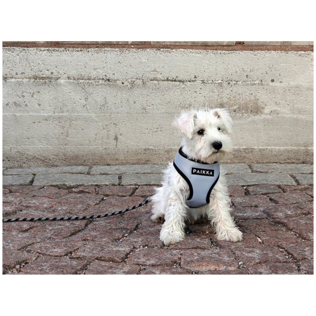 Paikka Visibility sele, grå - Image 7