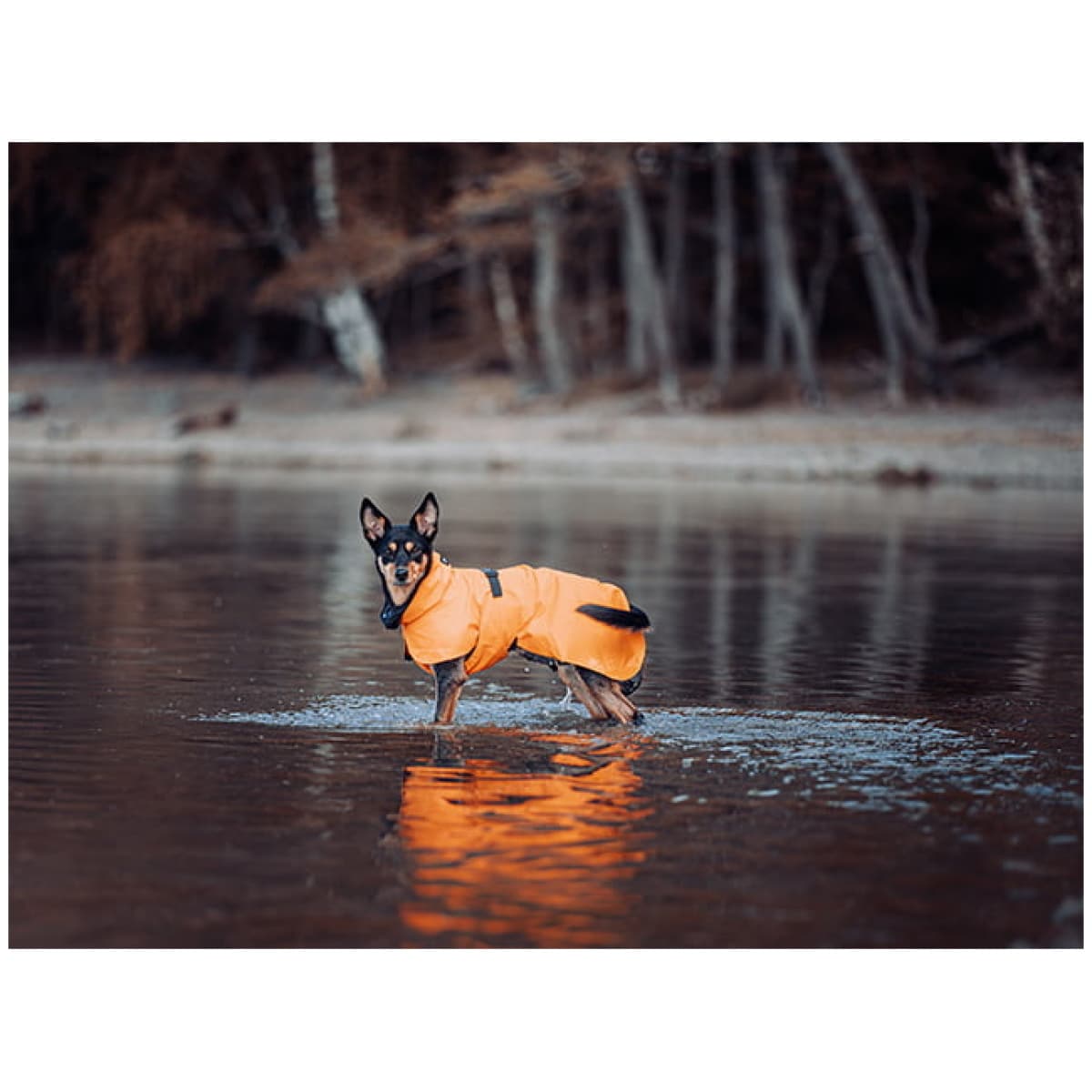 Paikka Recovery regnfrakke, orange - Image 16