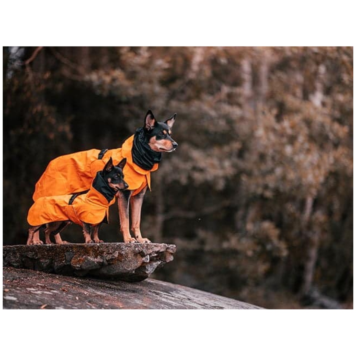 Paikka Recovery regnfrakke, orange - Image 13