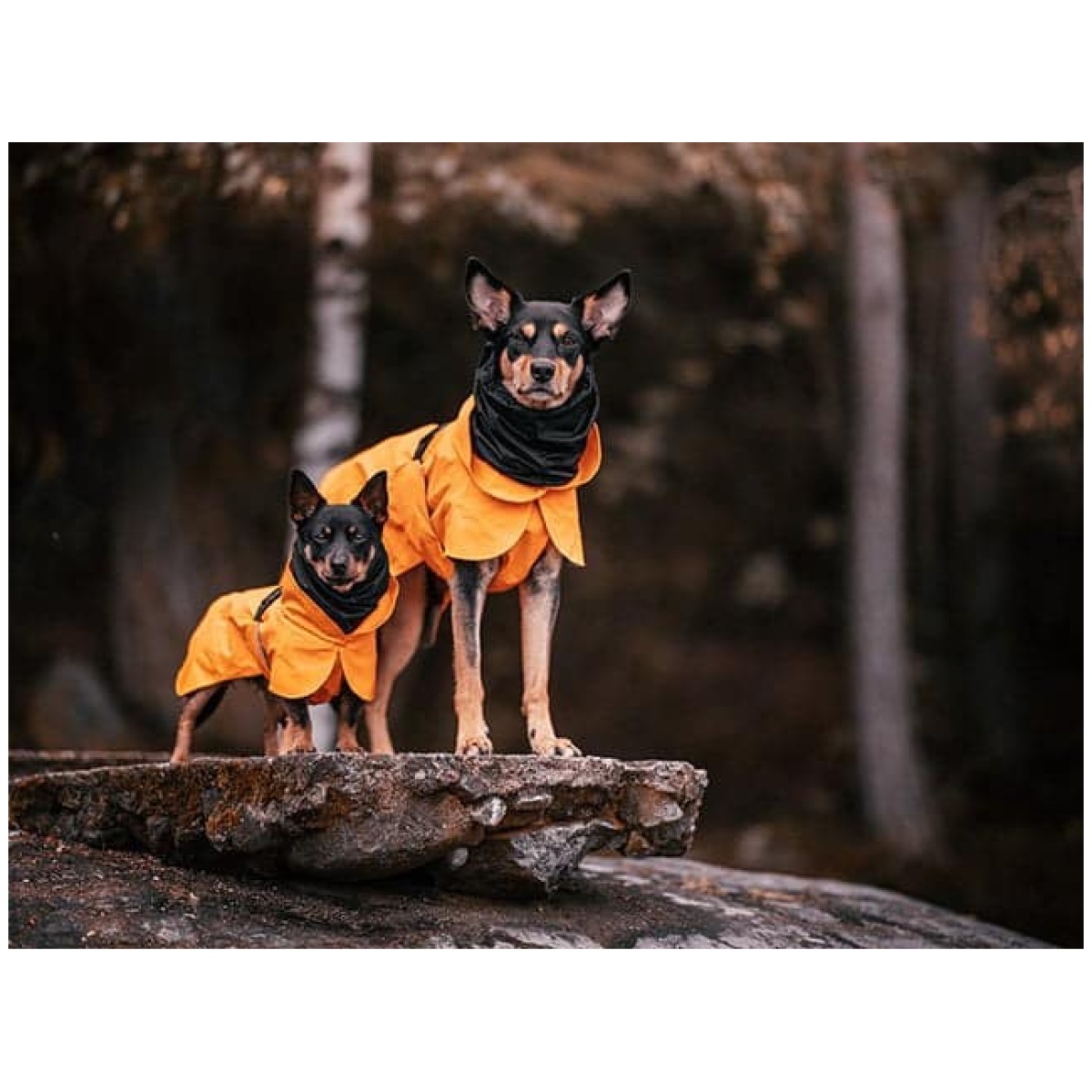 Paikka Recovery regnfrakke, orange - Image 12