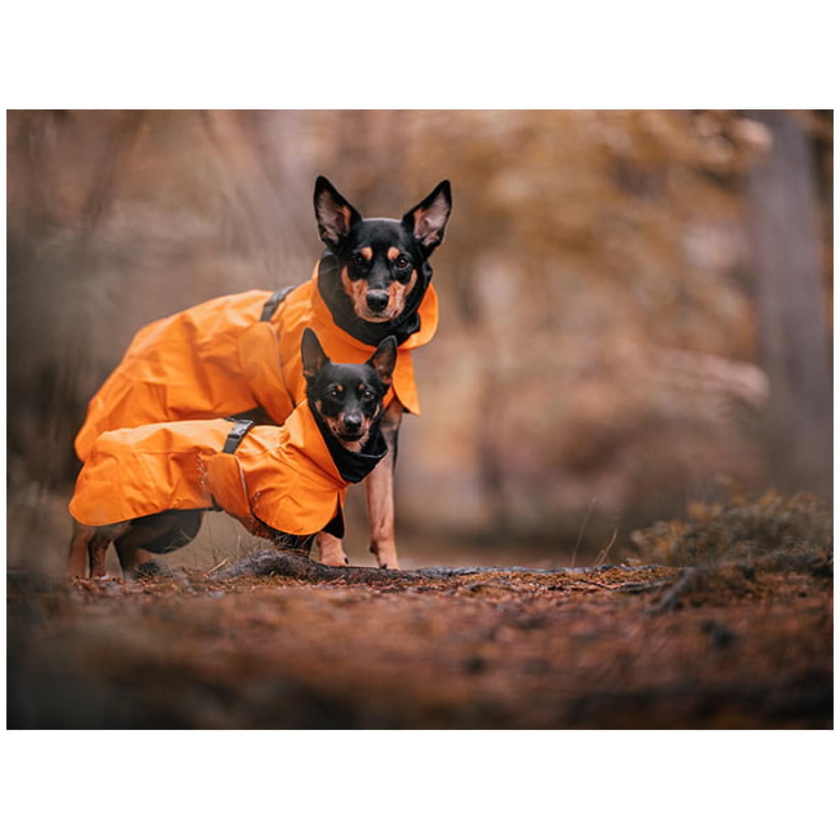 Paikka Recovery regnfrakke, orange - Image 9