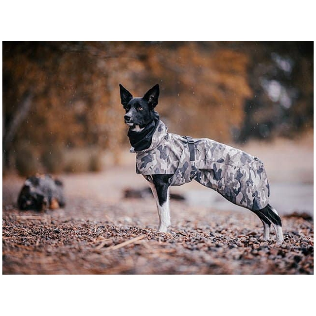 Paikka Recovery regnfrakke, camo - Image 15