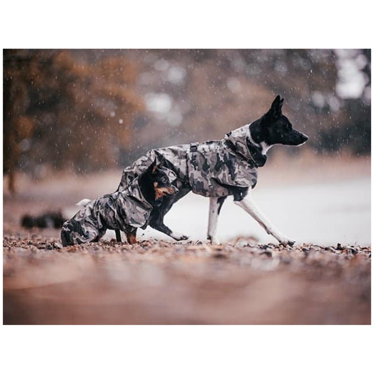 Paikka Recovery regnfrakke, camo - Image 14