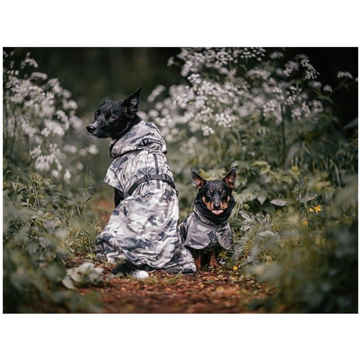 Paikka Recovery regnfrakke, camo - Image 13