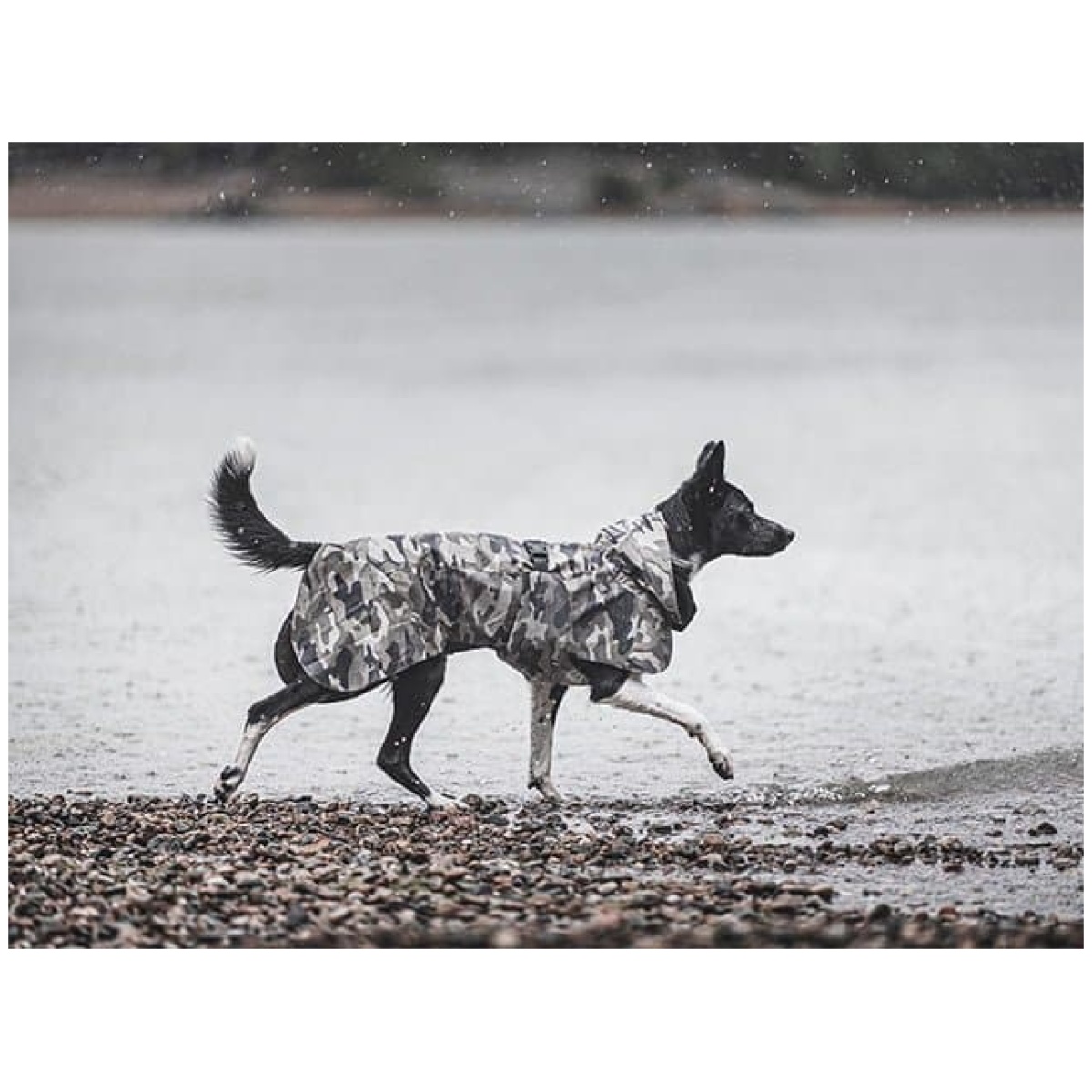 Paikka Recovery regnfrakke, camo - Image 12