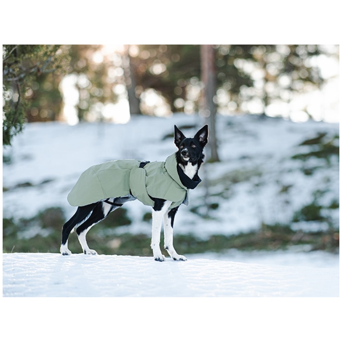 Paikka Recovery vinterfrakke, grøn - Image 8