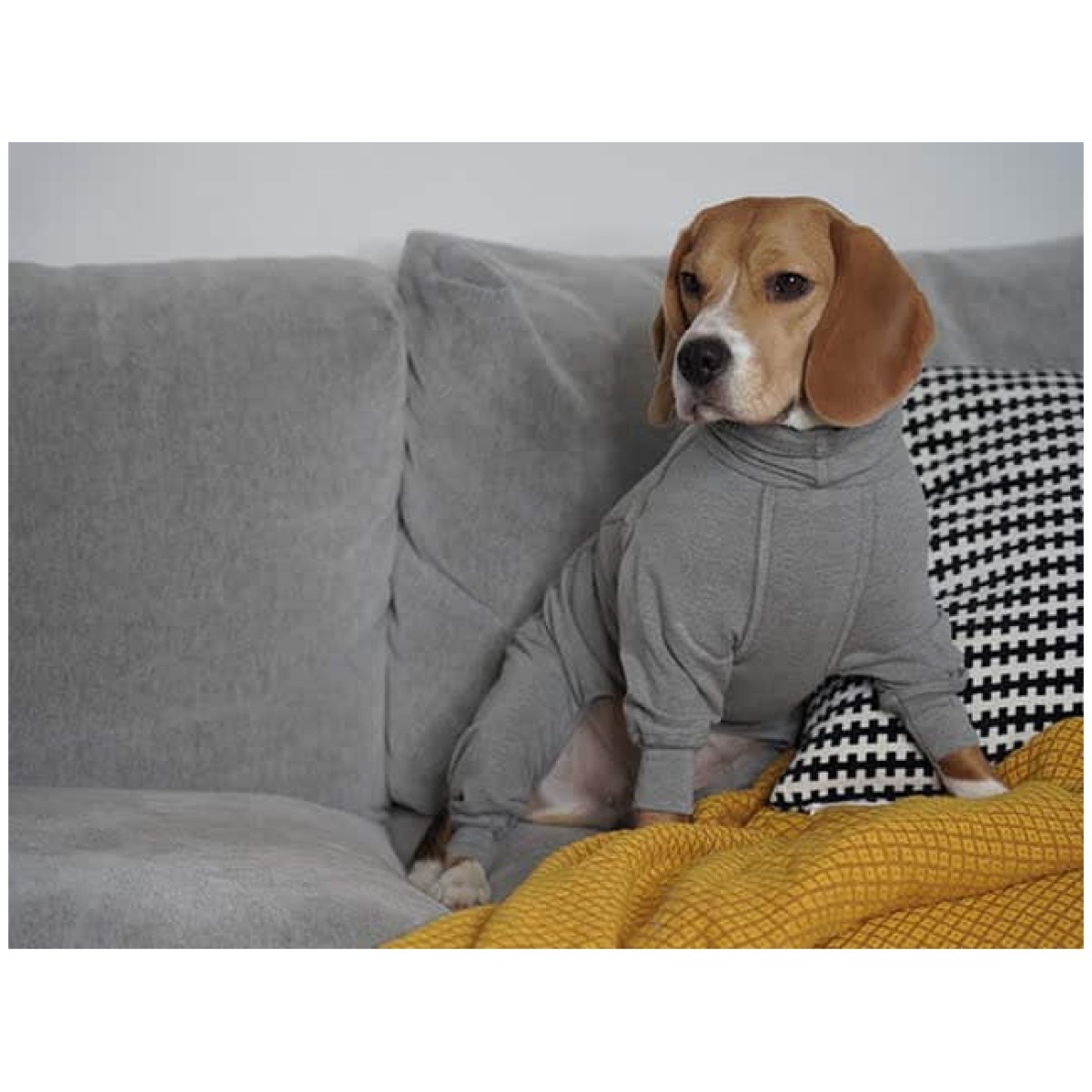 Paikka Recovery overall - Image 8