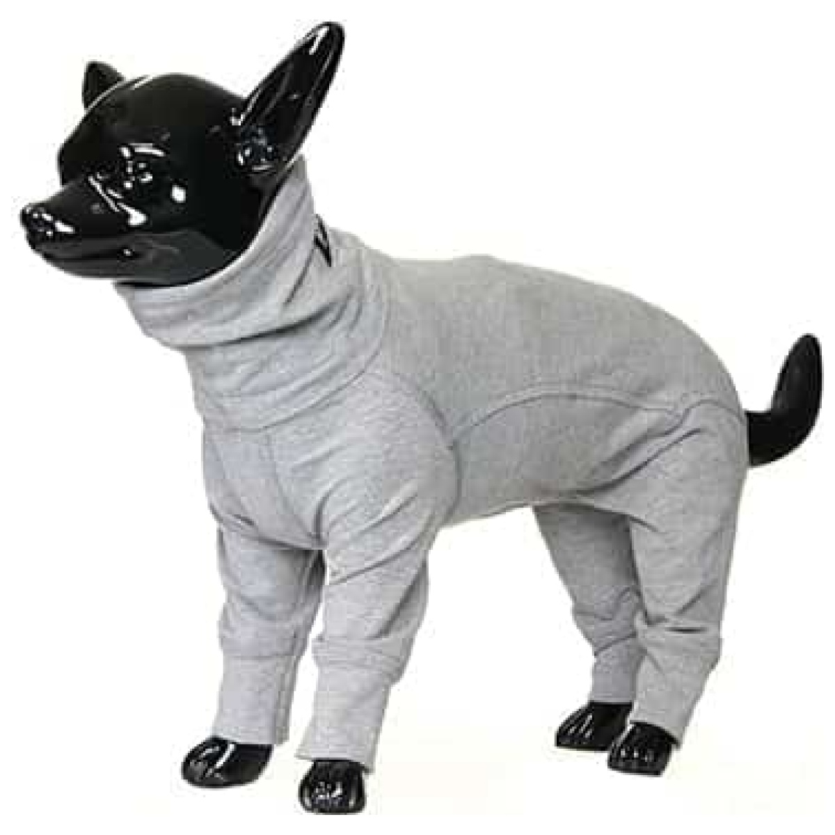 Paikka Recovery overall - Image 10