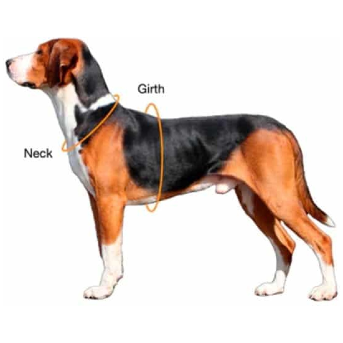 Paikka Visibility sele, mørk - Image 10
