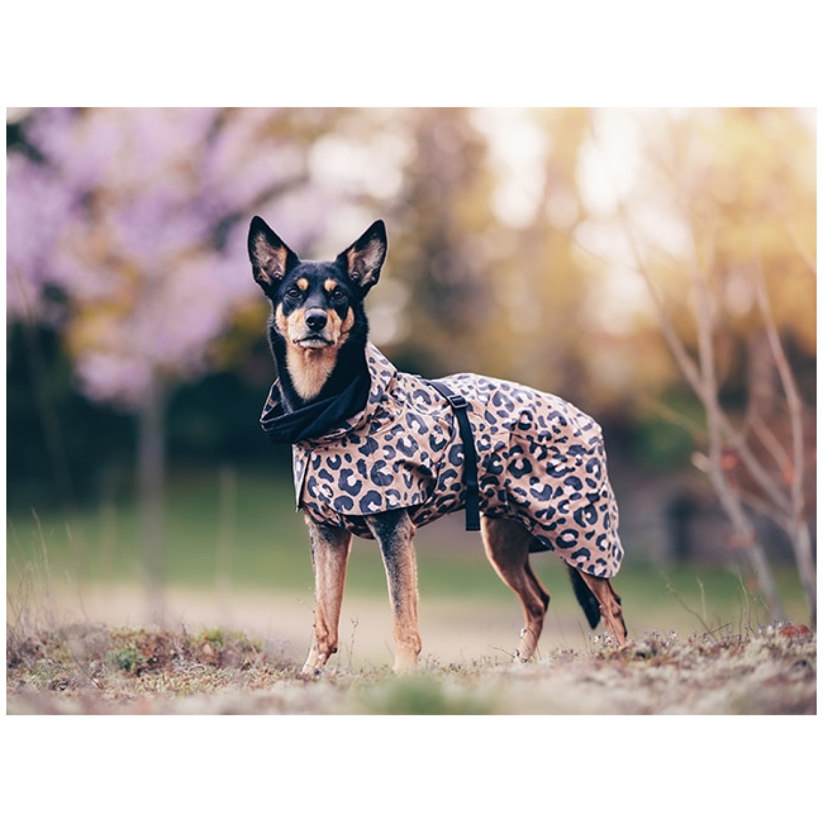 Paikka Visibility regnfrakke, leo - Image 11