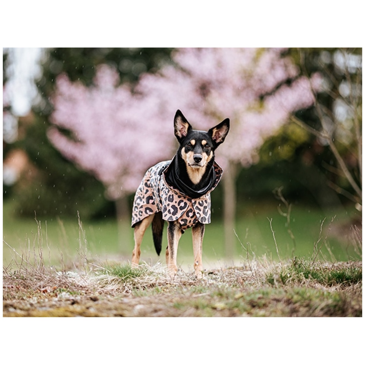 Paikka Visibility regnfrakke, leo - Image 9