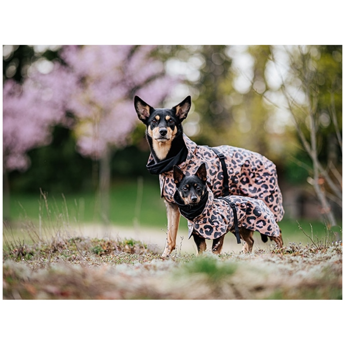 Paikka Visibility regnfrakke, leo - Image 6