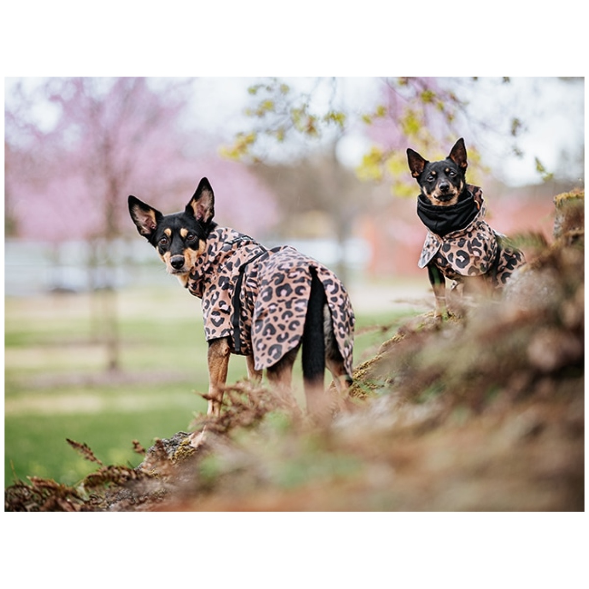 Paikka Visibility regnfrakke, leo - Image 10