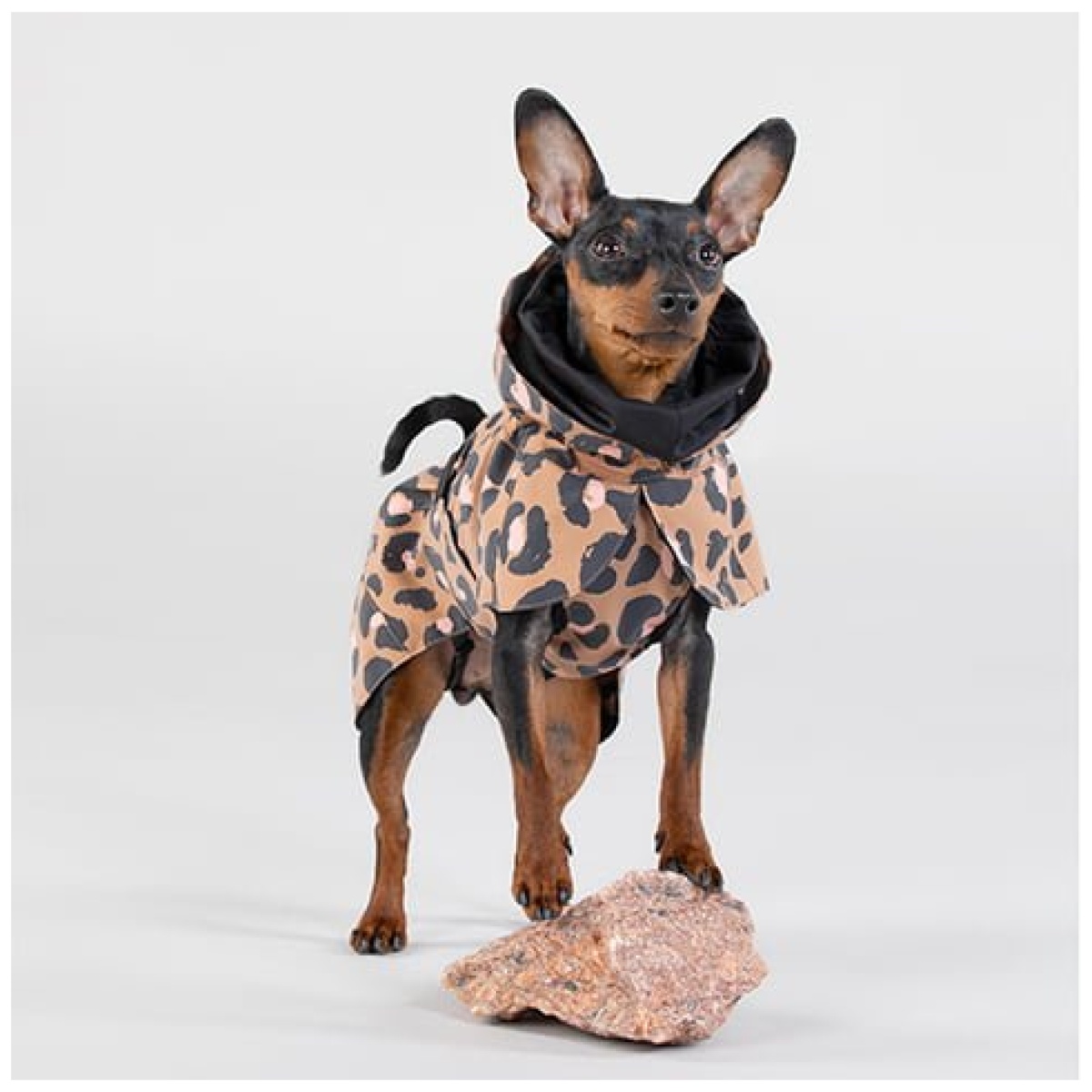 Paikka Visibility regnfrakke, leo - Image 12