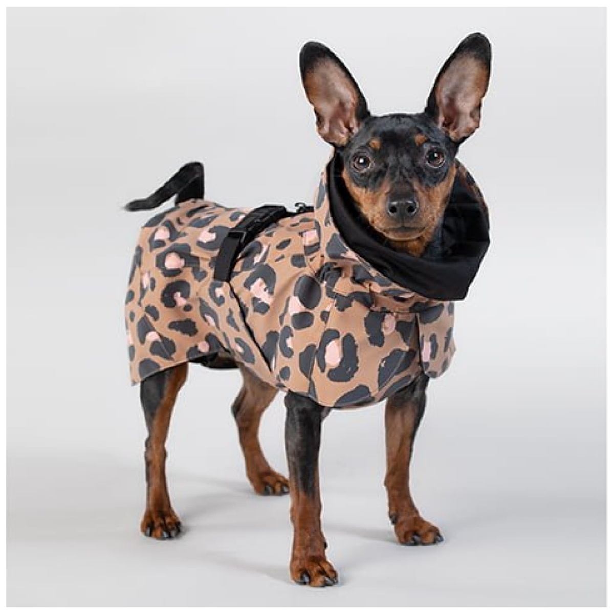 Paikka Visibility regnfrakke, leo - Image 14