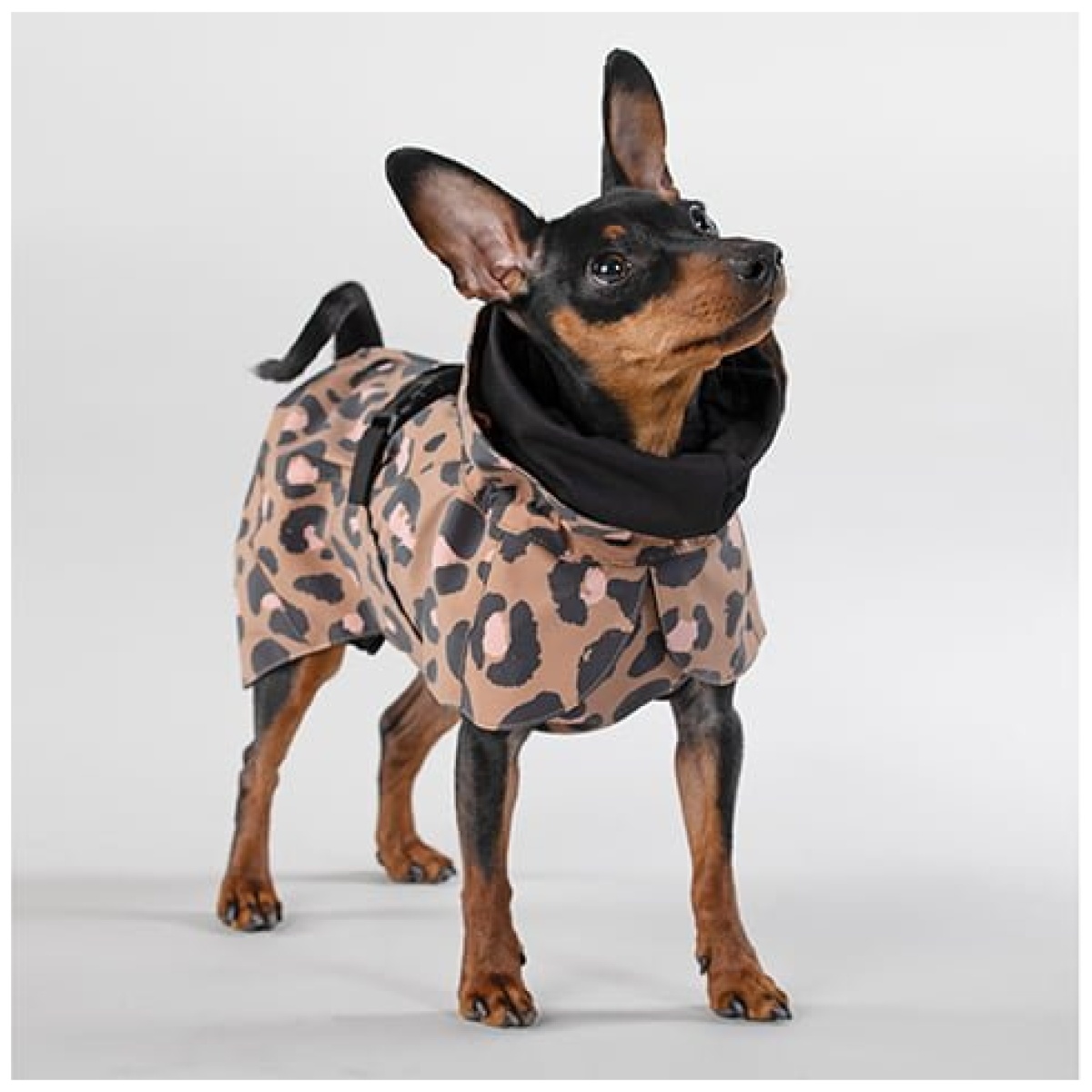 Paikka Visibility regnfrakke, leo - Image 15