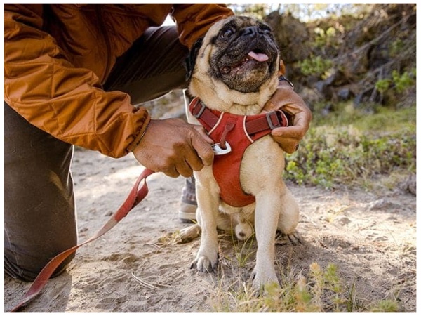 Ruffwear Front Range Sele, Red Clay