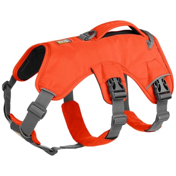 Ruffwear Web Master sele blaze orange