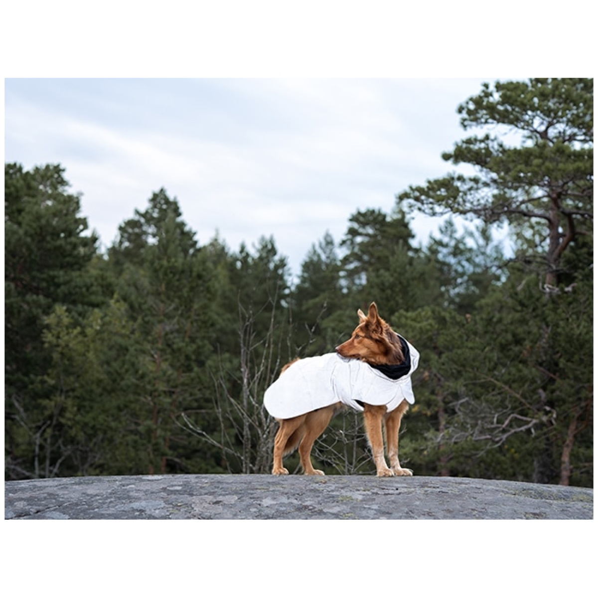 Paikka Recovery vinterfrakke, dark - Image 13