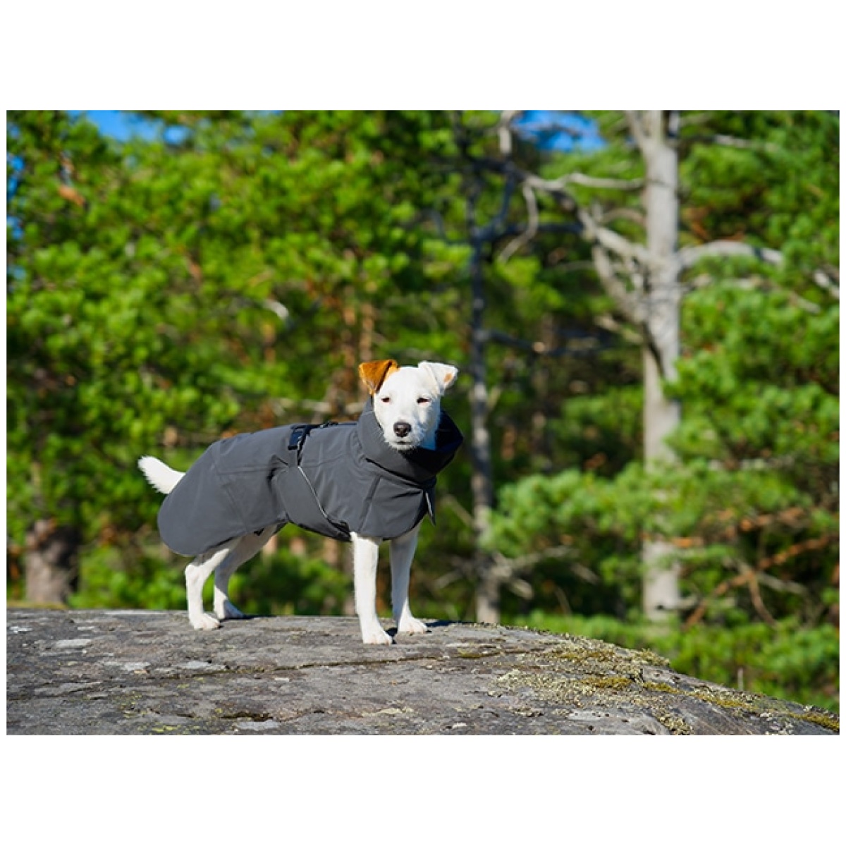 Paikka Recovery vinterfrakke, dark - Image 7