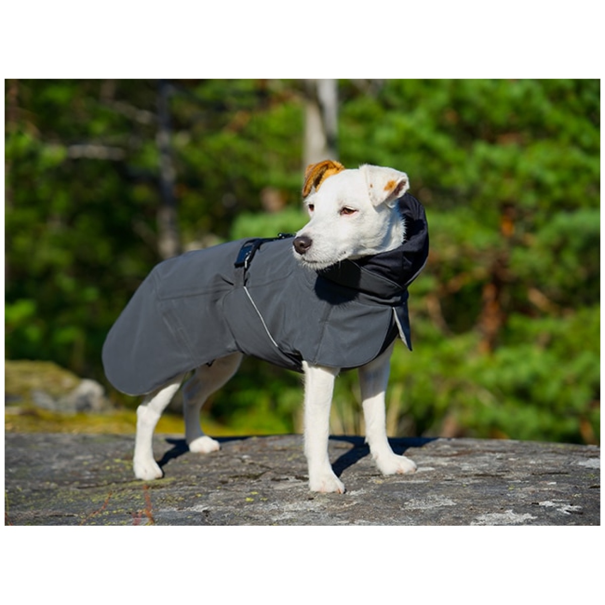 Paikka Recovery vinterfrakke, dark - Image 8