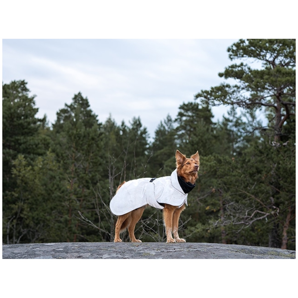 Paikka Recovery vinterfrakke, dark - Image 11