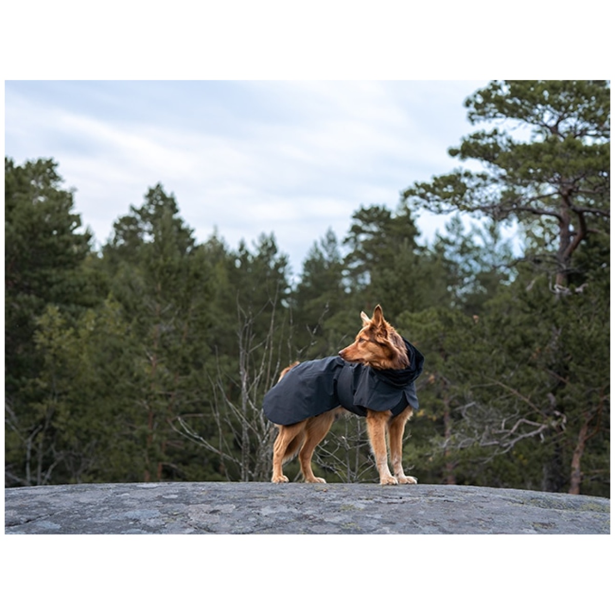 Paikka Recovery vinterfrakke, dark - Image 12