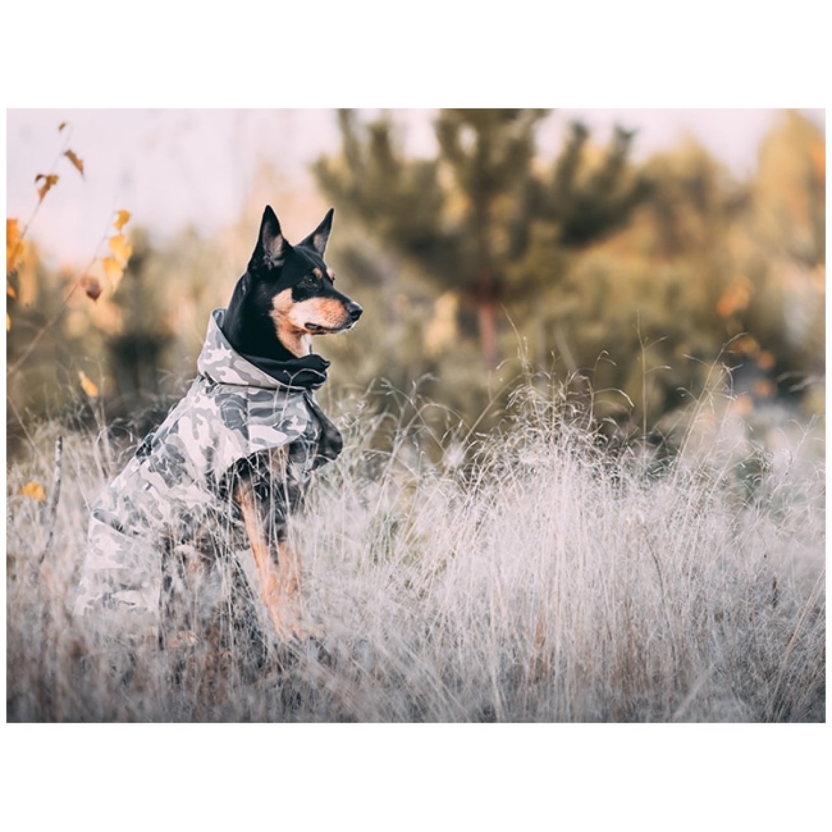 Paikka Recovery vinterfrakke, camo - Image 11