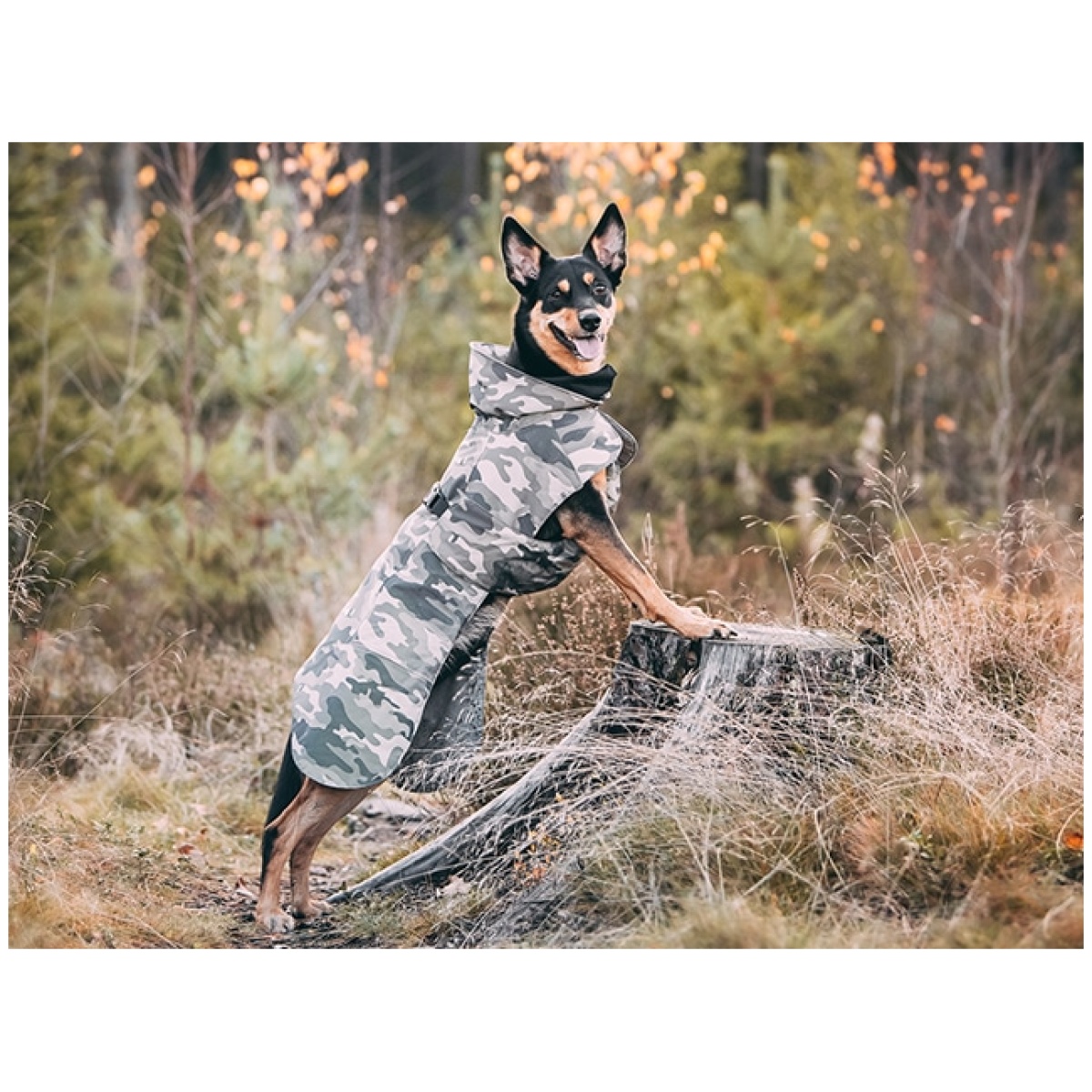 Paikka Recovery vinterfrakke, camo - Image 12