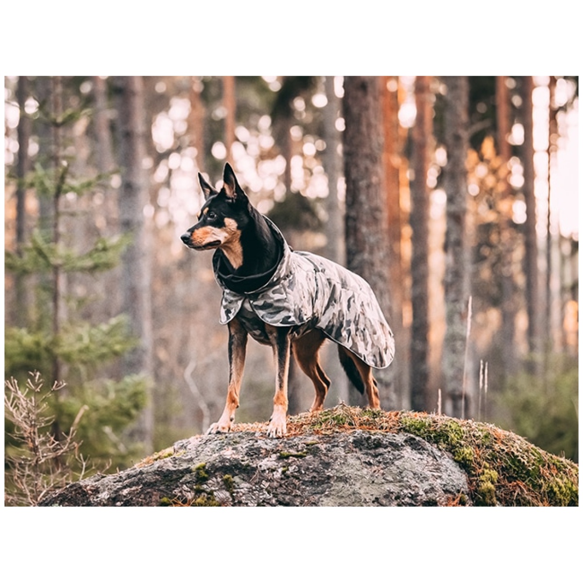 Paikka Recovery vinterfrakke, camo - Image 13