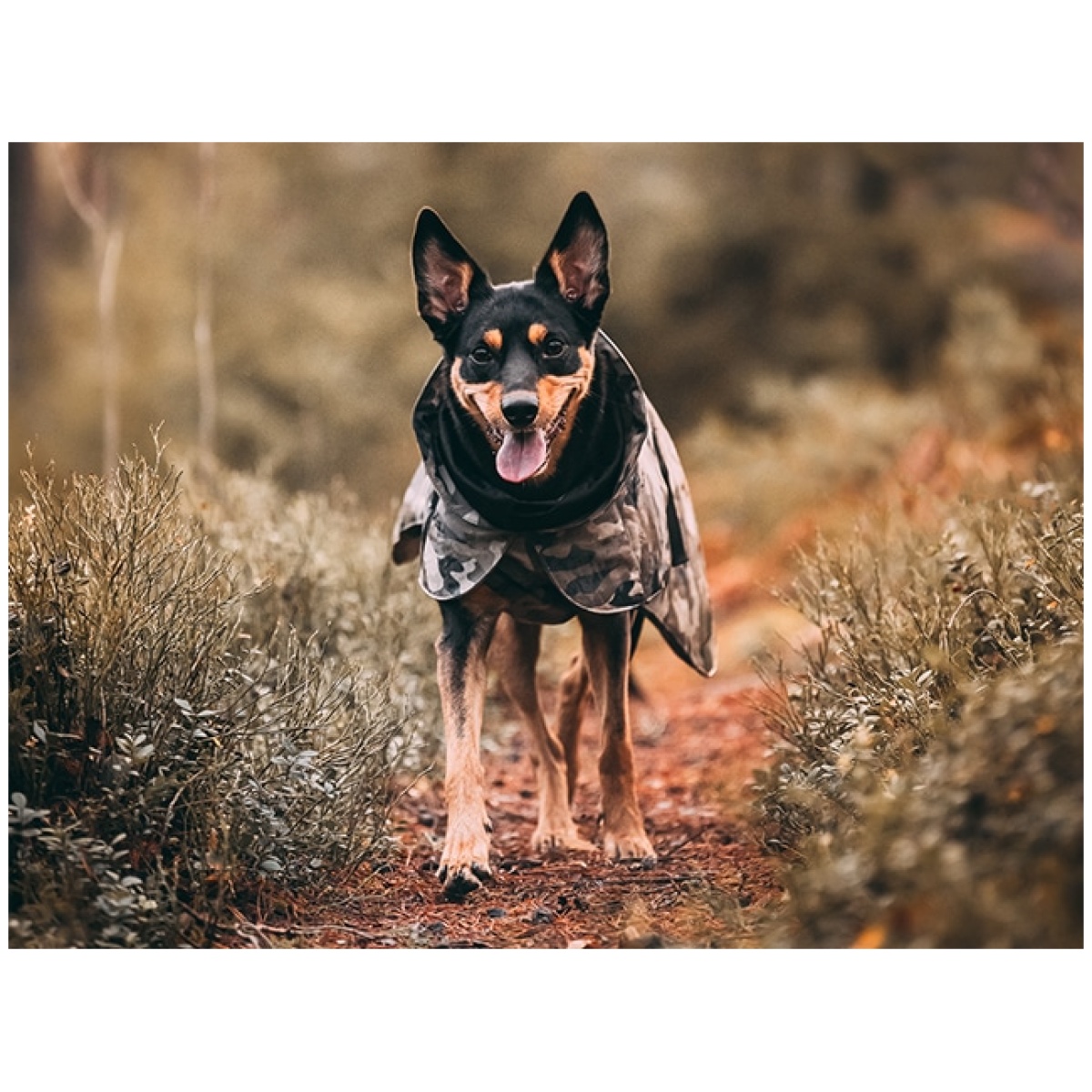 Paikka Recovery vinterfrakke, camo - Image 14