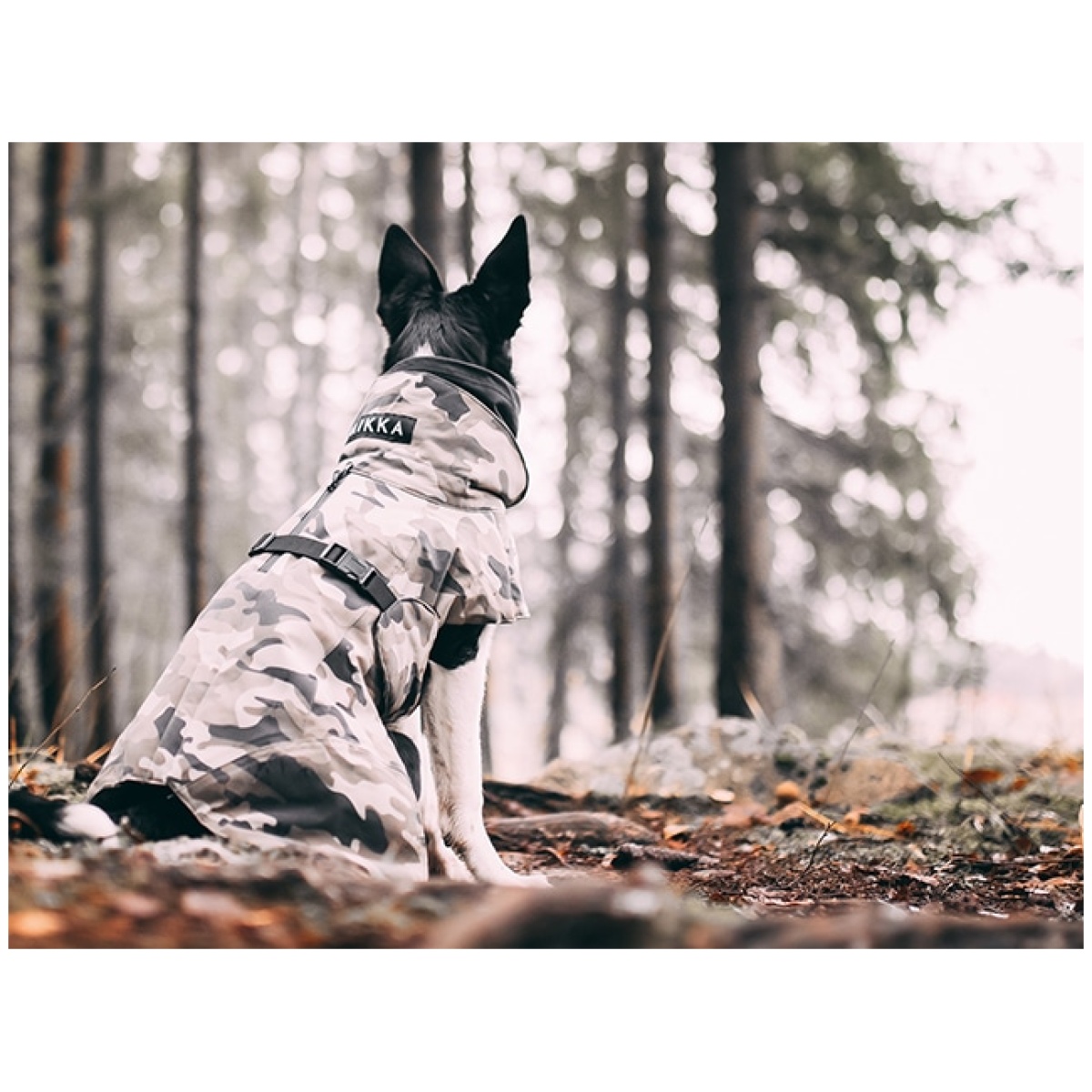 Paikka Recovery vinterfrakke, camo - Image 15